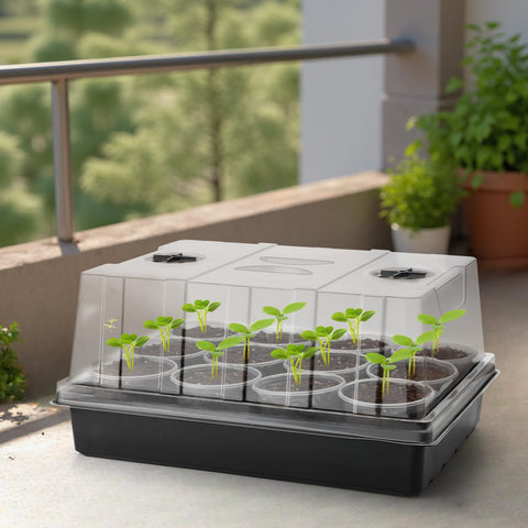 RooTrimmer seed trays without drainage holes reduce transplant shock