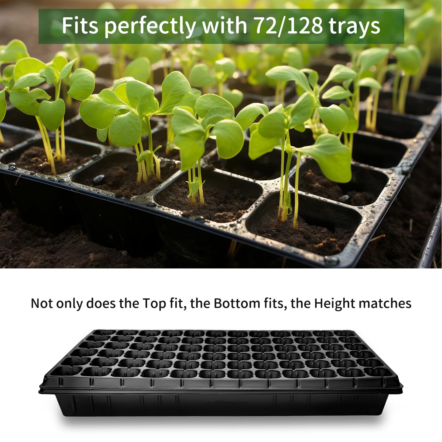 RooTrimmer no-leak design prevents spills during watering and movement.