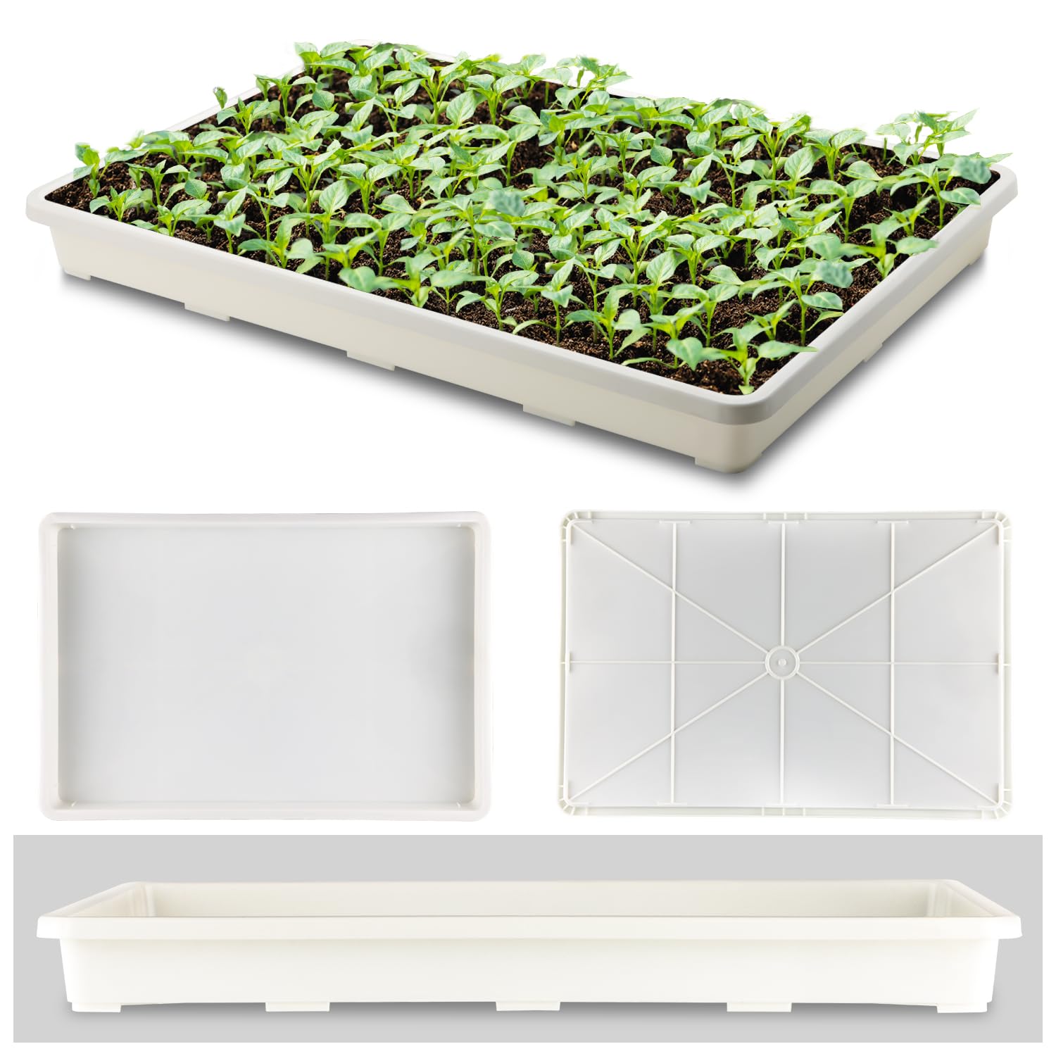 RooTrimmer nursery tray in-use seed starting setup for microgreens