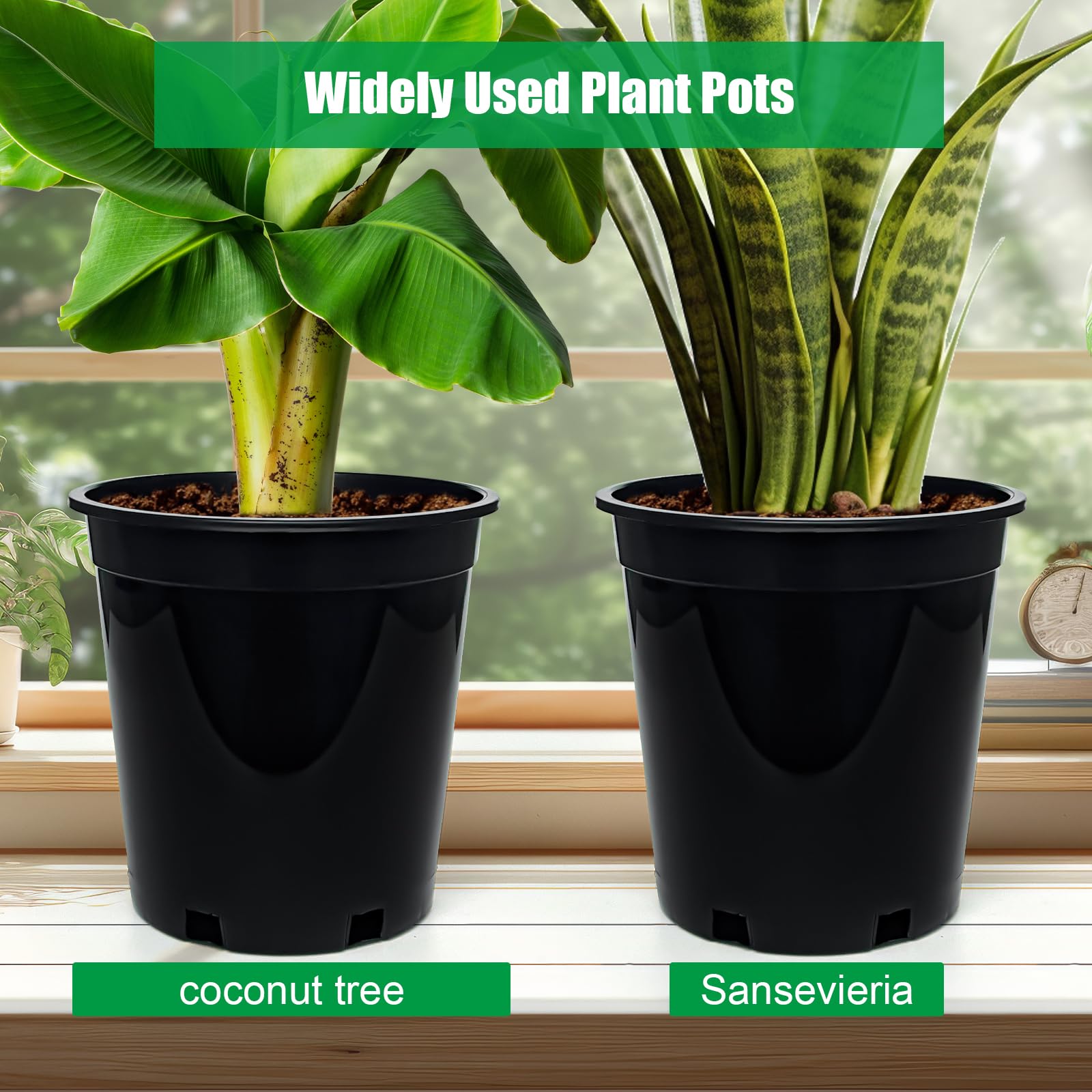 RooTrimmer plastic pots suit both outdoor and indoor planting setups