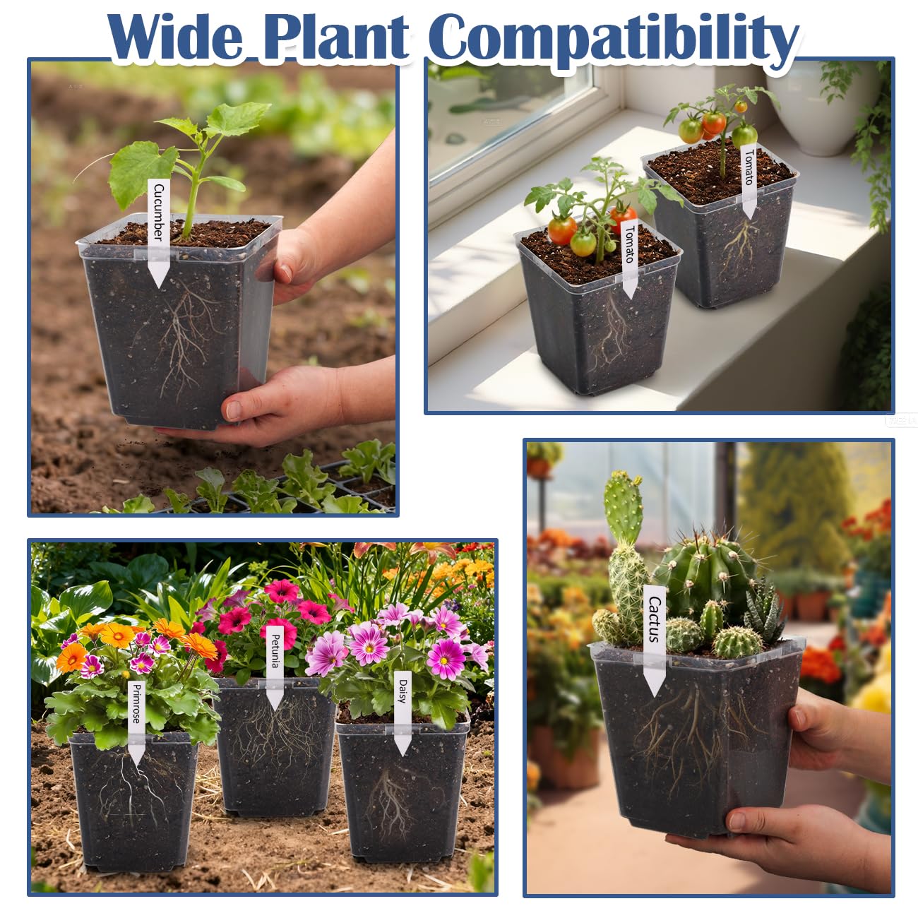 RooTrimmer pots are ideal for tomatoes, peppers, cucumbers, and herbs.