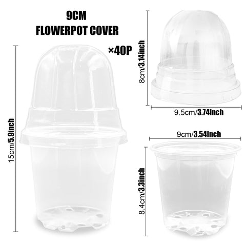 RooTrimmer pot with humidity dome supporting steady moisture for germination.