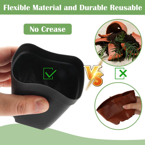 RooTrimmer 3-inch diameter pots designed for comfortable handling of seedlings