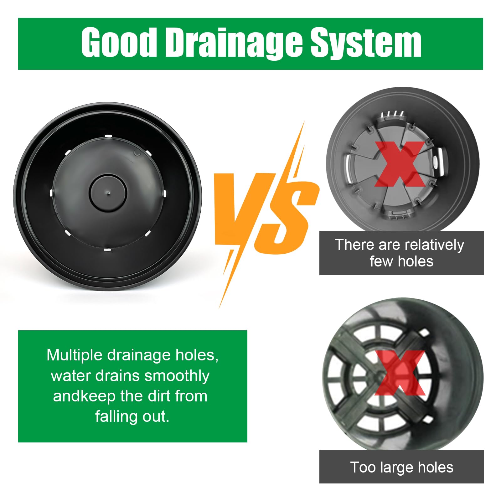 RooTrimmer pot with drainage holes supports proper moisture balance.