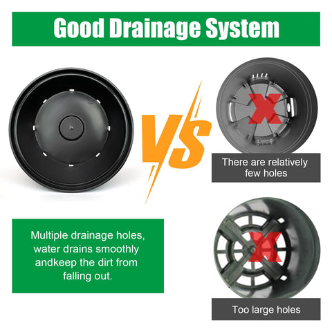 RooTrimmer pot with drainage holes supports proper moisture balance.