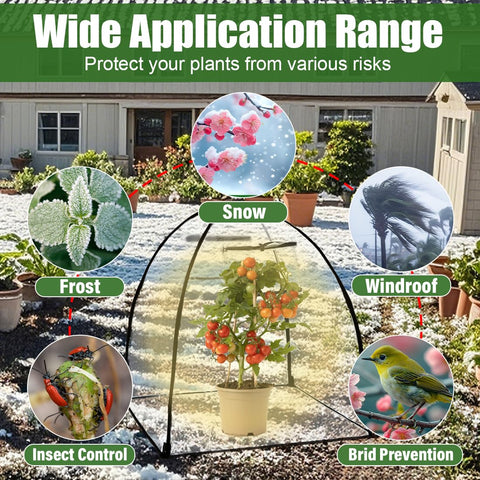 RooTrimmer potted-fruit greenhouse setup enhances winter protection.