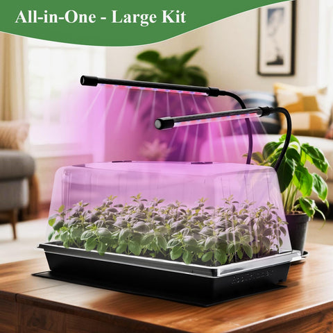 RooTrimmer propagation station kit for indoor starting.