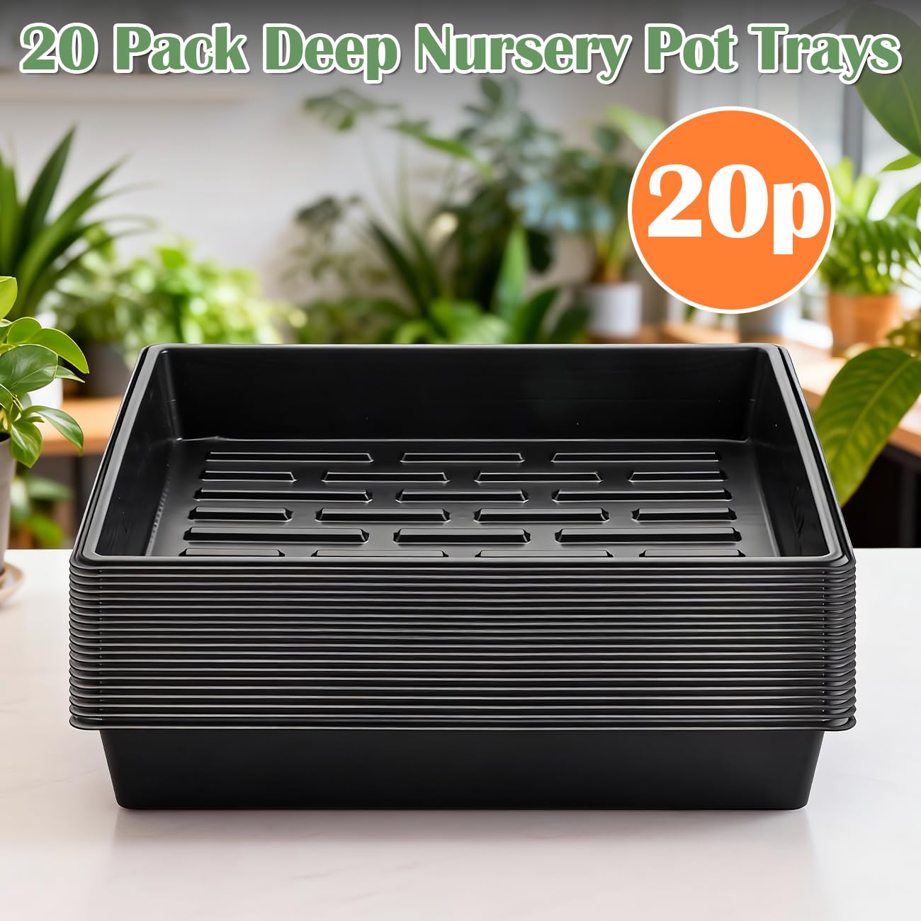 RooTrimmer PS polystyrene material offers durable, reusable seedling trays.