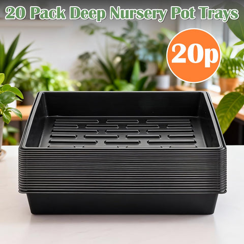 RooTrimmer PS polystyrene material offers durable, reusable seedling trays.