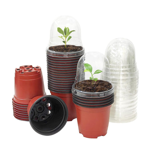 RooTrimmer red 4-inch pot with dome supports humidity for healthy seedlings.