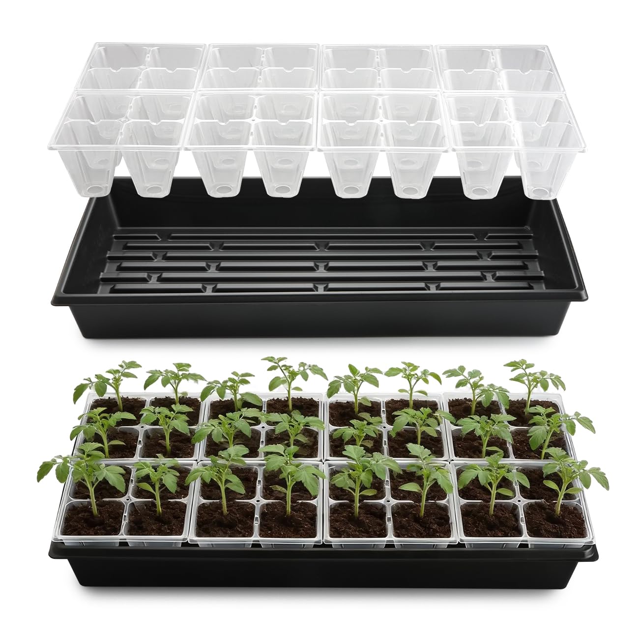 RooTrimmer thick, durable plastic trays are reusable season after season.