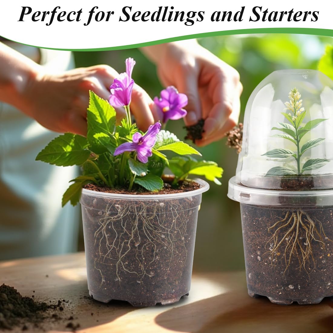 RooTrimmer reusable nursery pot set supports ongoing seed starting projects.