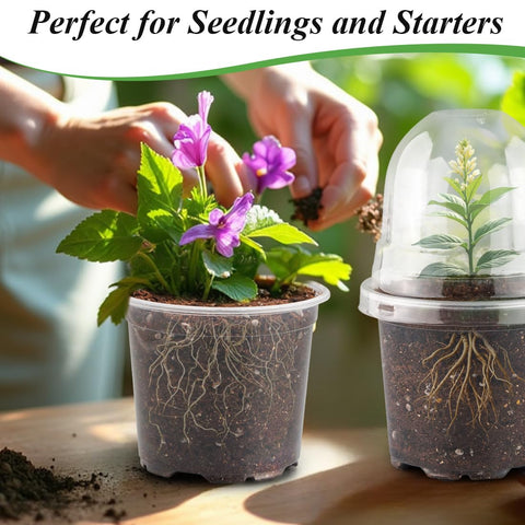RooTrimmer reusable nursery pot set supports ongoing seed starting projects.