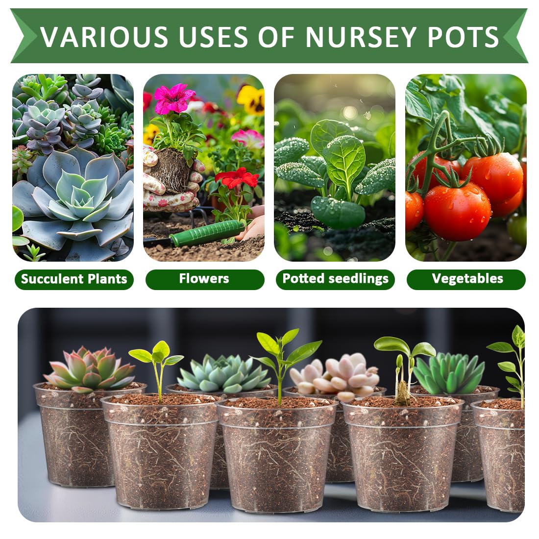 RooTrimmer reusable seedling pot emphasizing durability for multiple uses