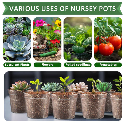 RooTrimmer reusable seedling pot emphasizing durability for multiple uses