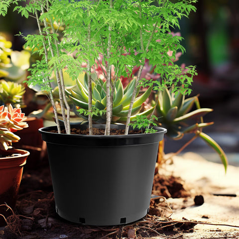 RooTrimmer pot suitable for indoor and outdoor planting setups.