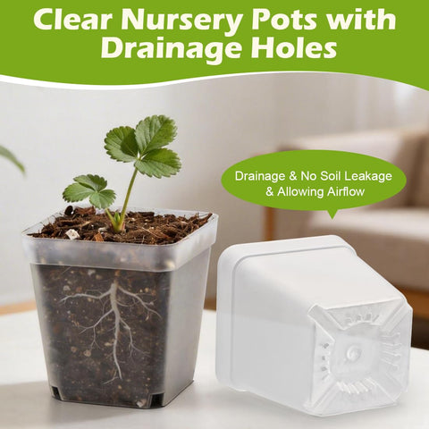 RooTrimmer clear pot allows gentle root-ball release for easy transplantation