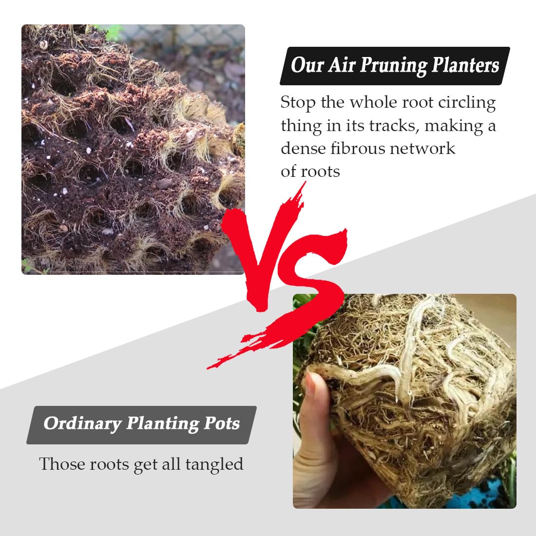 RooTrimmer roots-control planter durable plastic emphasizes fighting root circling for healthier growth.