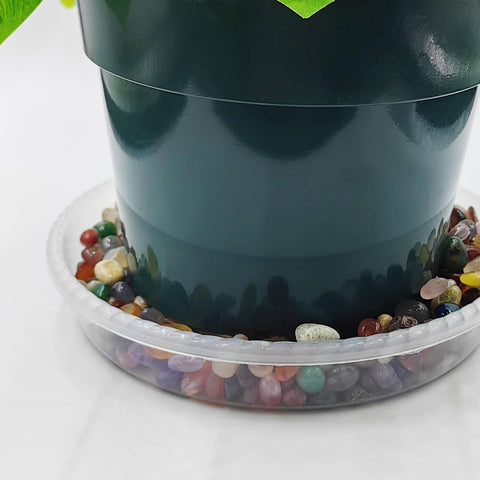 RooTrimmer multipurpose saucer for indoor and outdoor plant setups