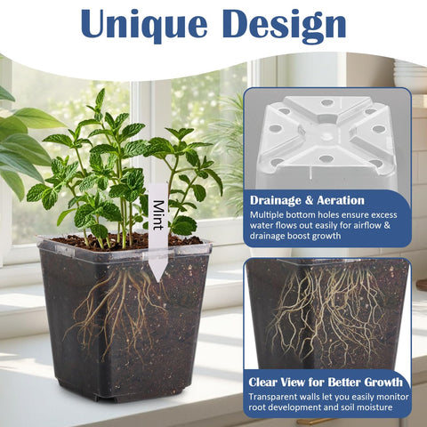 RooTrimmer seed-start pot with labels helps you identify varieties at a glance.
