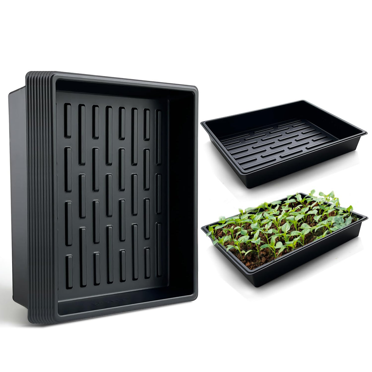 RooTrimmer seed starter tray 10-pack, perfect microgreens cultivation in greenhouse environments.
