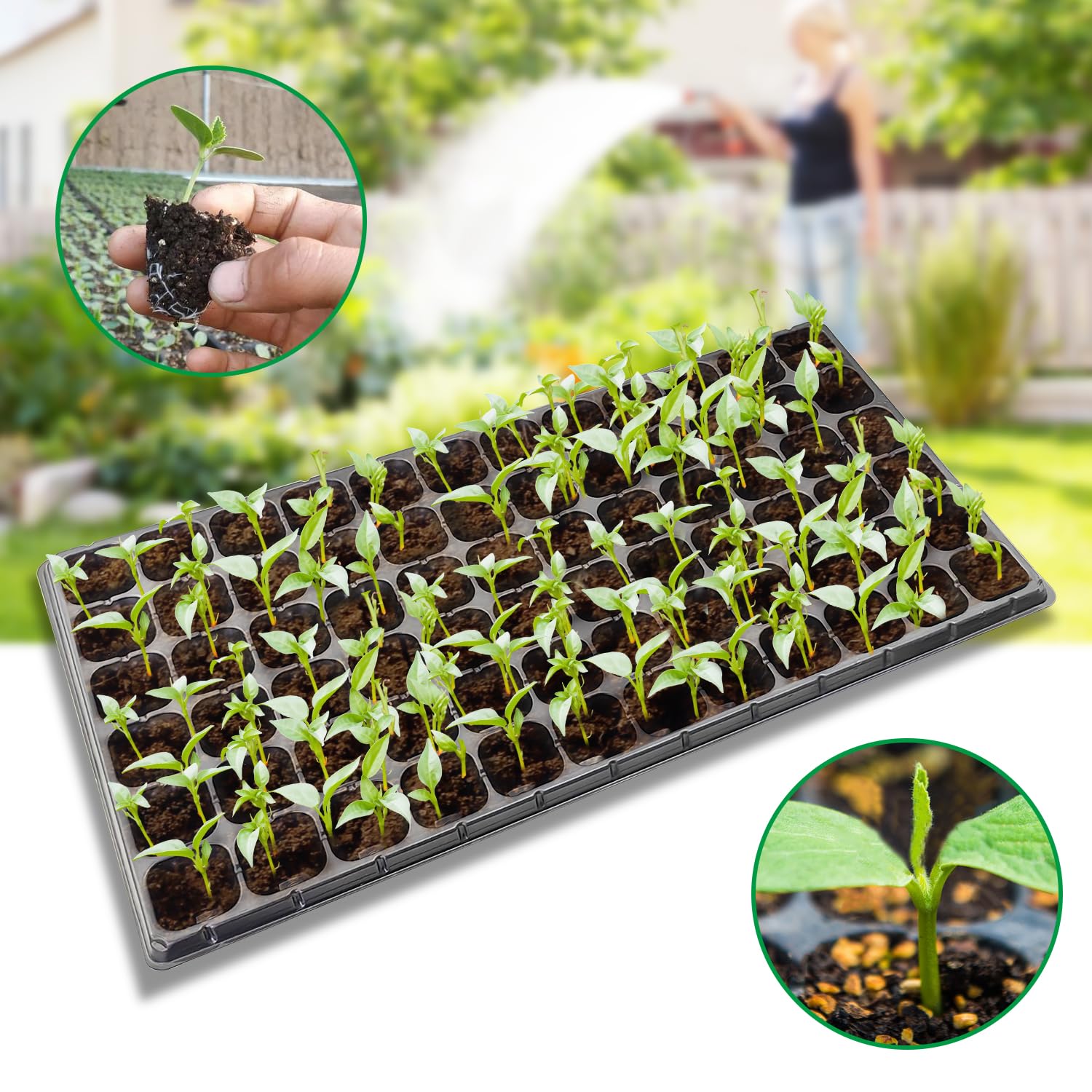RooTrimmer seed starter tray set demonstrates organized packaging for easy setup