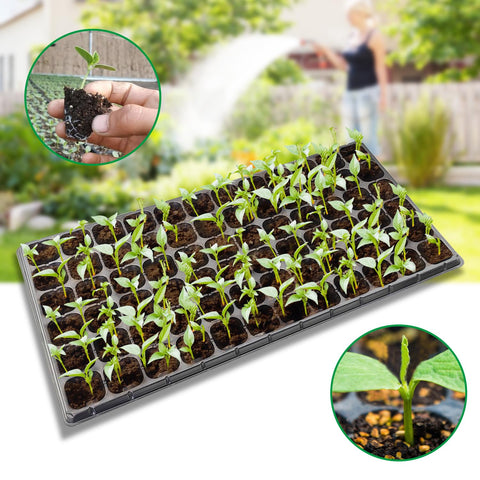 RooTrimmer seed starter tray set demonstrates organized packaging for easy setup
