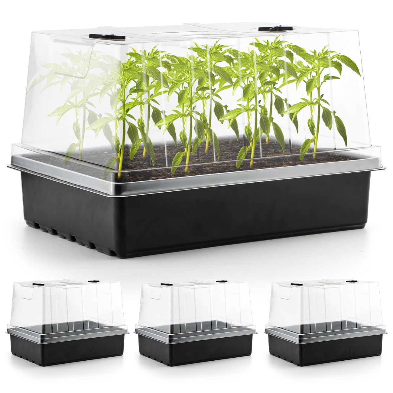 RooTrimmer seed starter trays with 5-inch domes for steady germination