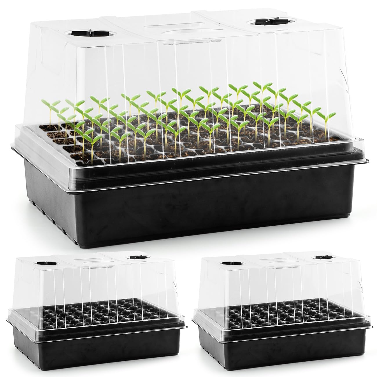 RooTrimmer seed starter trays with 5in tall domes protect seedlings from cold.