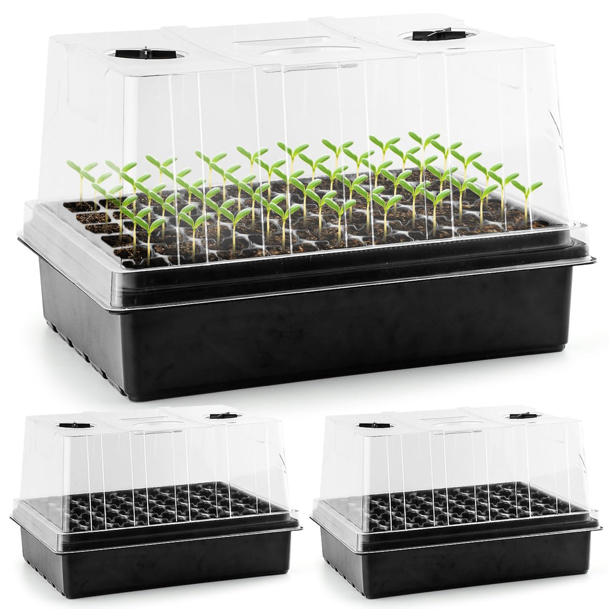 RooTrimmer seed starter trays with 5in tall domes protect seedlings from cold.