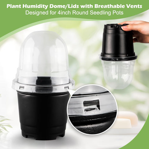 RooTrimmer seedling germination dome aids uniform germination in 4-inch pots.