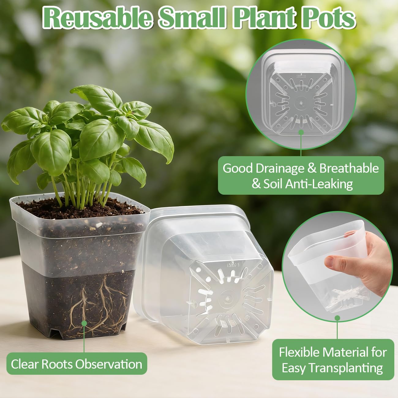 RooTrimmer seedling pot with drainage holes promotes healthier root growth.