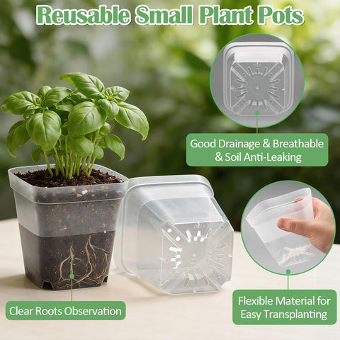 RooTrimmer seedling pot with drainage holes promotes healthier root growth.