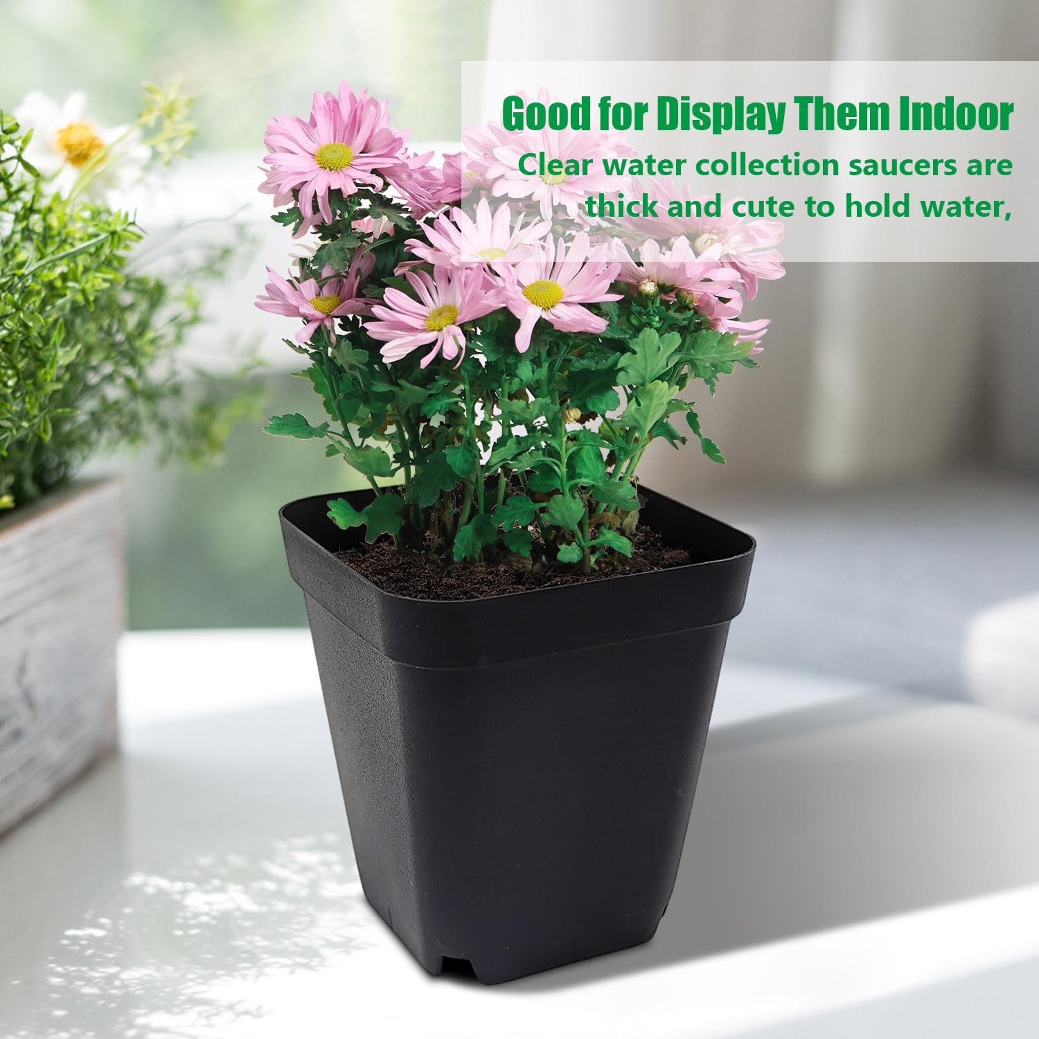 RooTrimmer 4-inch seedling pots in action; easy to start herbs, flowers, or veggies.