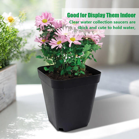 RooTrimmer 4-inch seedling pots in action; easy to start herbs, flowers, or veggies.