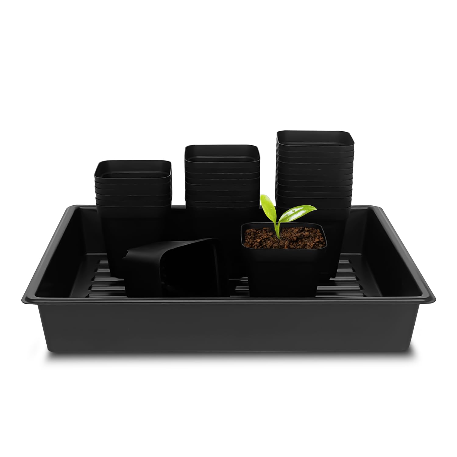 RooTrimmer seedling tray with 60 pots for organized seed starting.