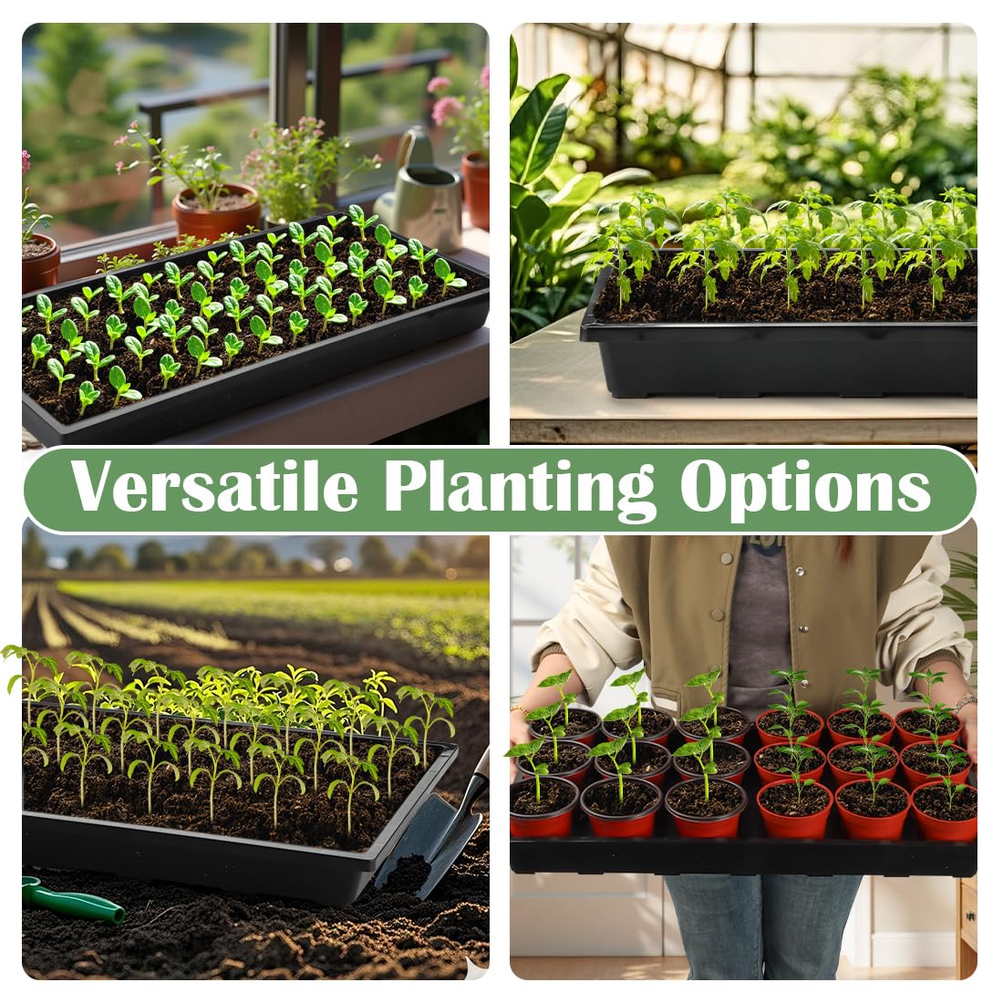 RooTrimmer seedling tray ready for easy transport between rooms.