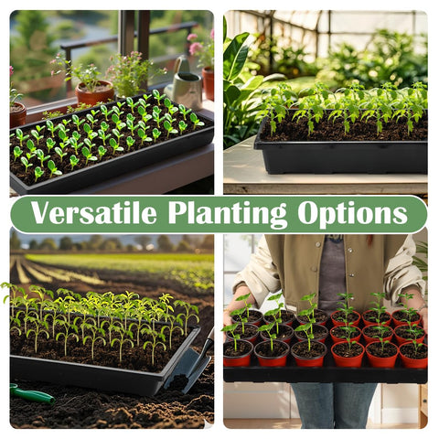 RooTrimmer seedling tray ready for easy transport between rooms.