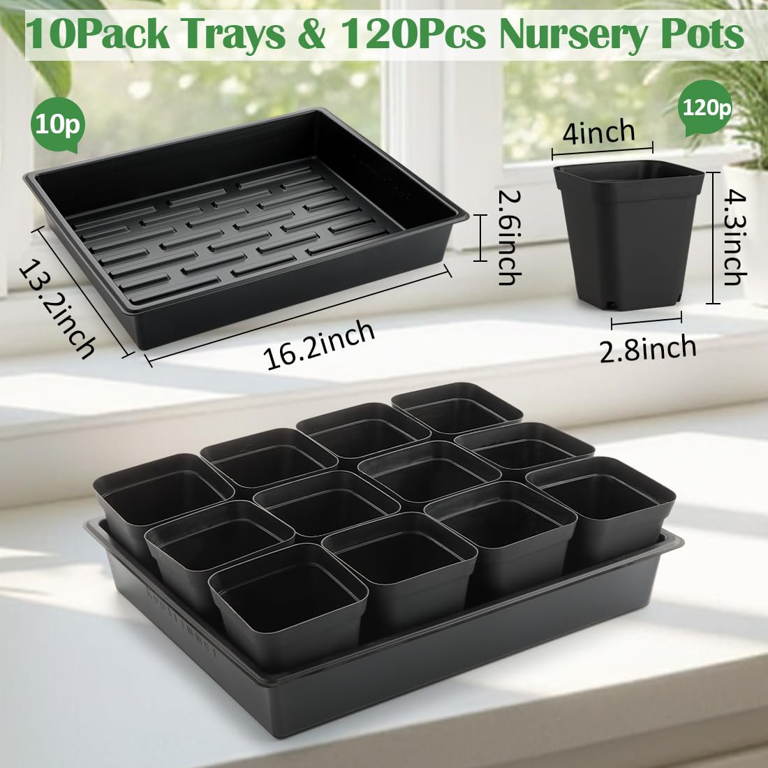 RooTrimmer seedling trays 10 pack organize germination and transport.