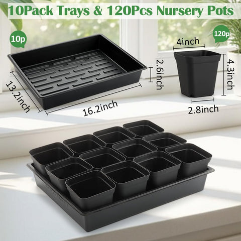 RooTrimmer seedling trays 10 pack organize germination and transport.