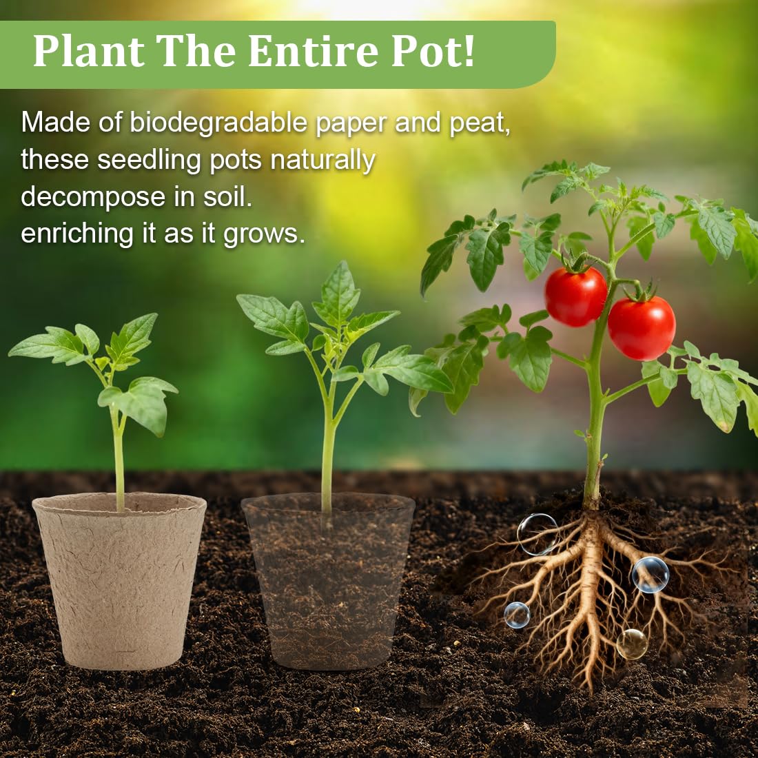 RooTrimmer 20-cell seedling trays with drainage holes and elevated airflow for healthy roots.