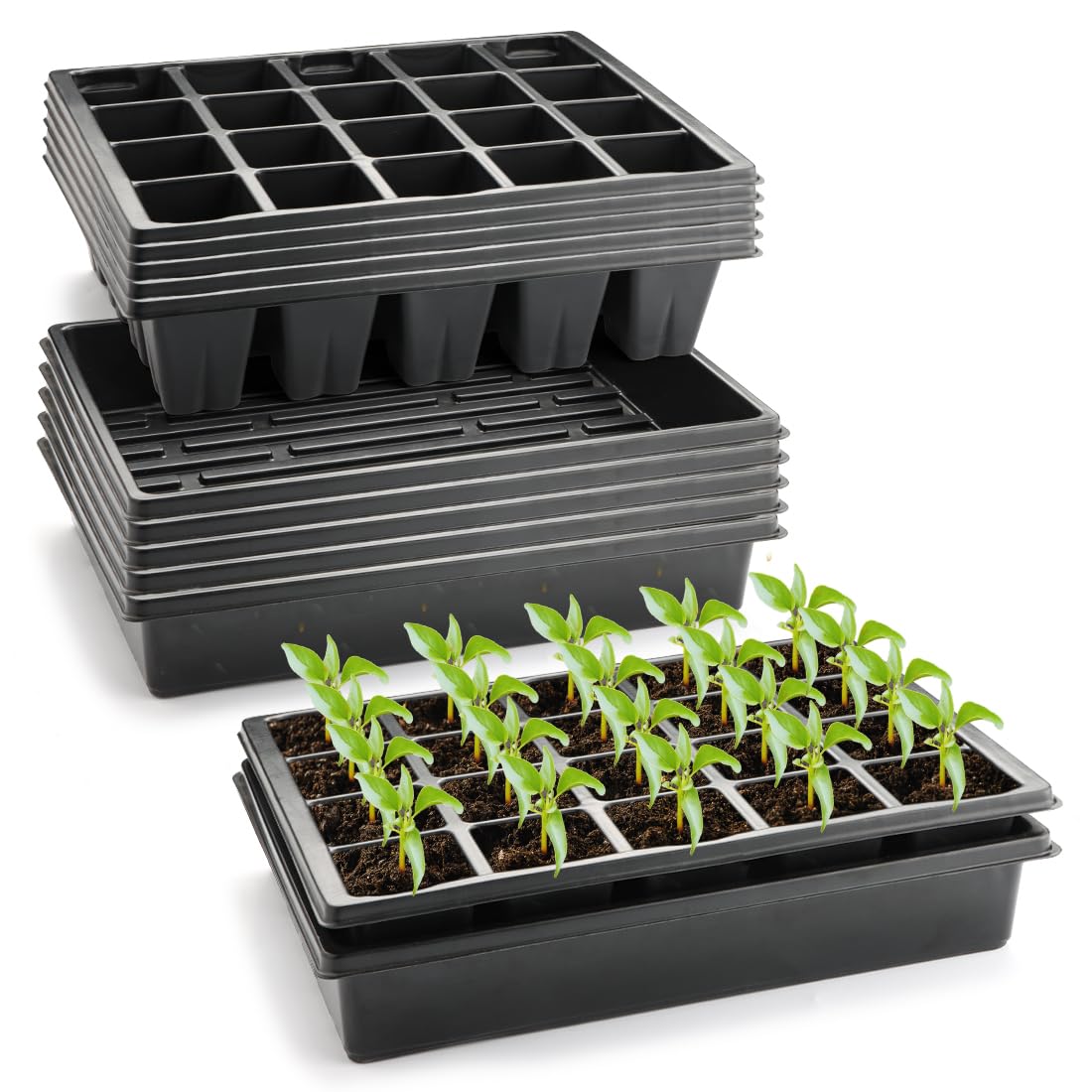 RooTrimmer seedling trays with 20 cells for organized germination