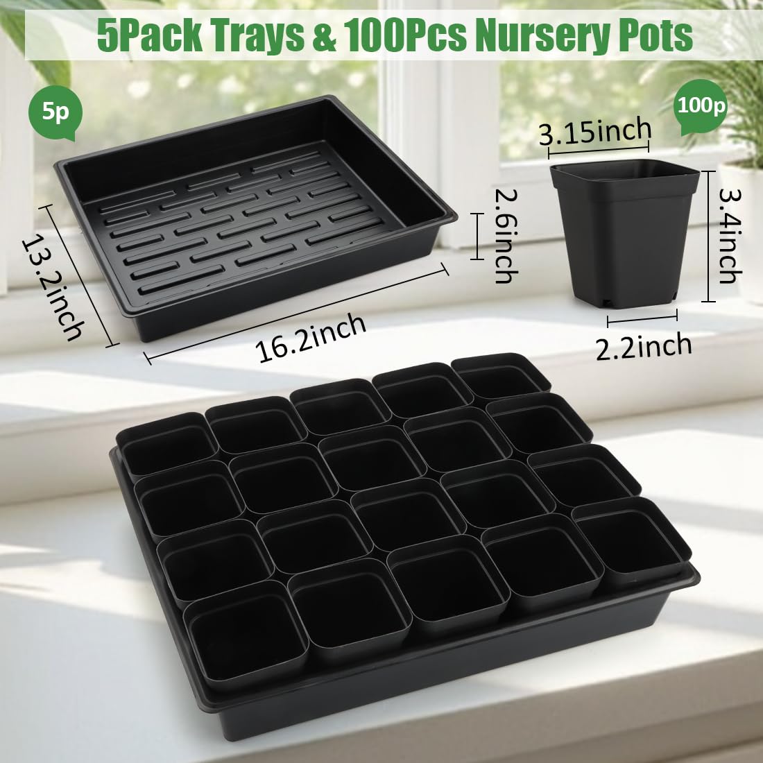 RooTrimmer seedling trays without holes supporting moisture retention