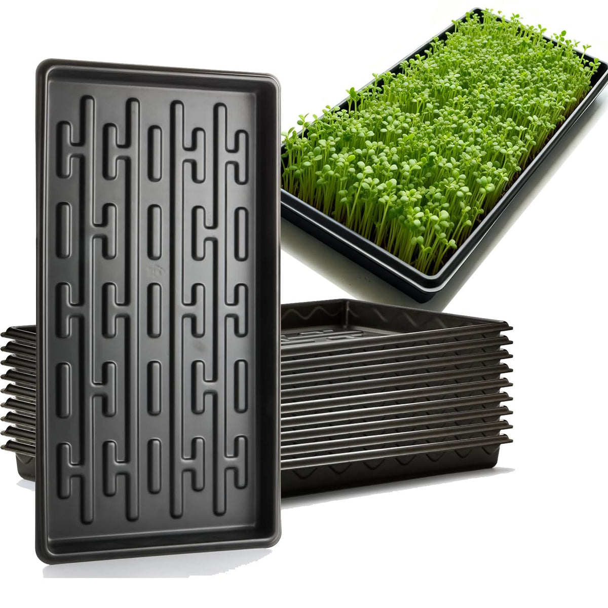 RooTrimmer shallow 1020 tray fits 200-cell trays for stable seedlings