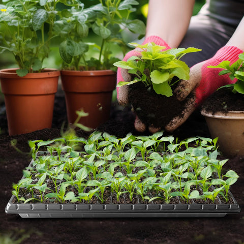 RooTrimmer shallow depth 1-89in supports quick germination and root development.