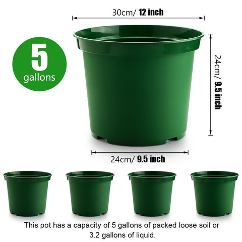 RooTrimmer soft-body pot facilitates easy transplanting and soil loosening.