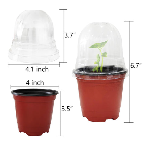 RooTrimmer soft plastic pot enables gentle transplant without root damage.