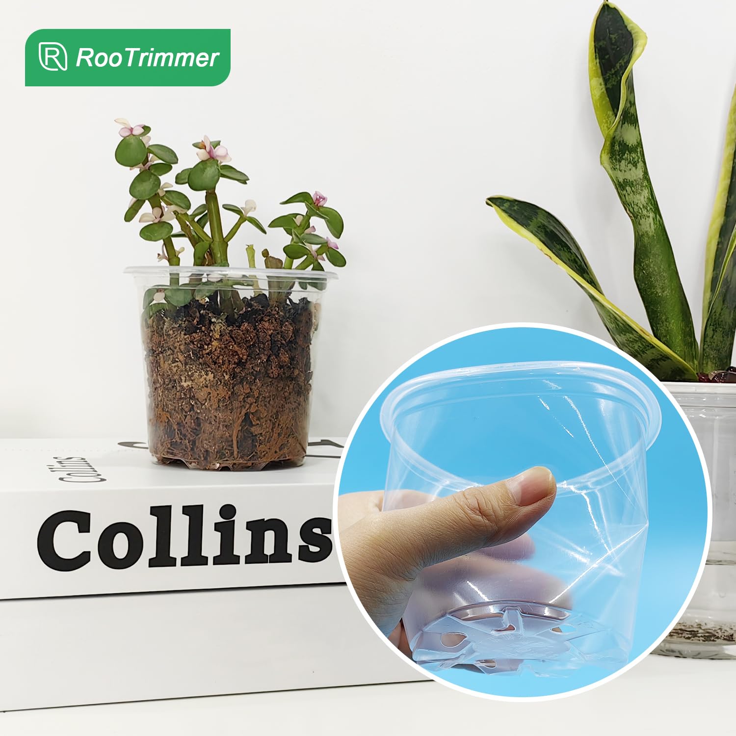 RooTrimmer soft-wall transplant-ready pots simplify removing seedlings without disturbing roots.