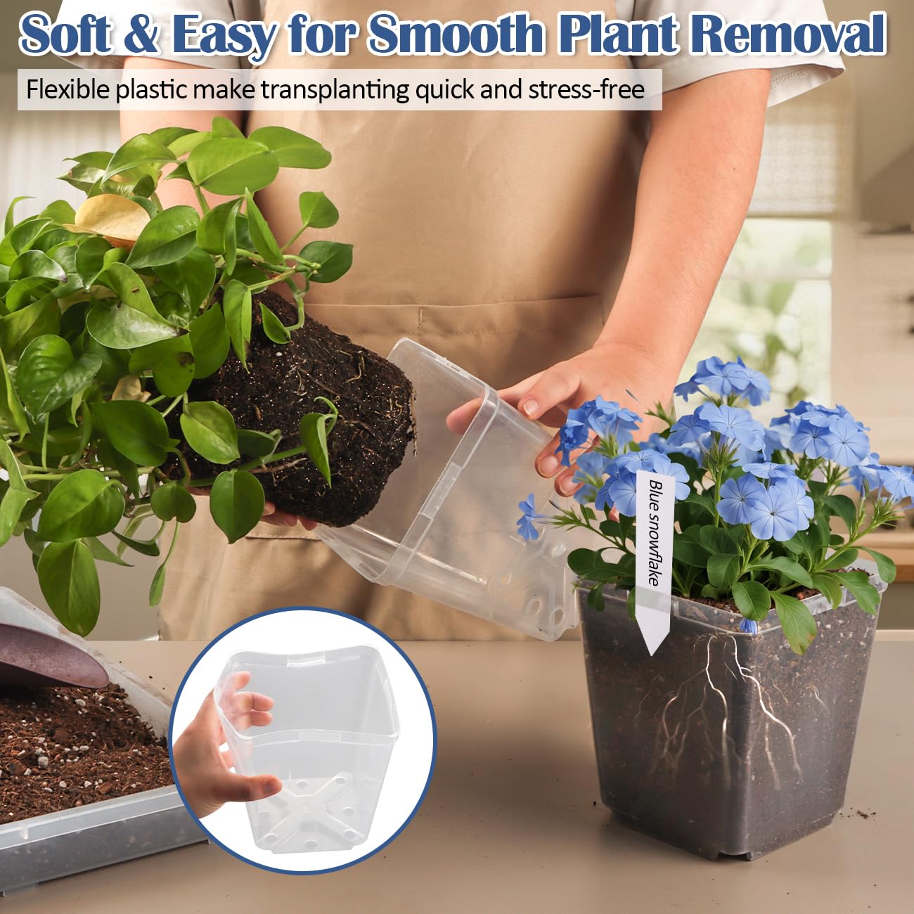 RooTrimmer seed starter kit includes 30 reusable plant labels for organization.