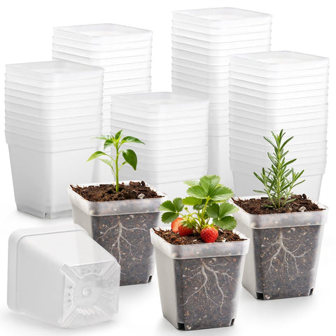 RooTrimmer square clear nursery pots with drainage for healthy seedlings
